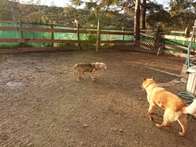 f:id:roukenhome-ann:20181224213523j:plain f:id:roukenhome-ann:20181224213523j:plain