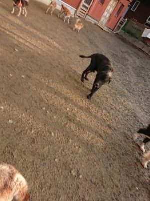 f:id:roukenhome-ann:20181224214002j:plain f:id:roukenhome-ann:20181224214002j:plain