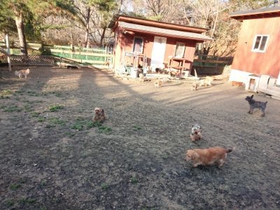 f:id:roukenhome-ann:20181224214056j:plain f:id:roukenhome-ann:20181224214056j:plain