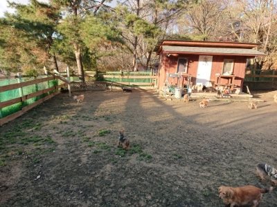f:id:roukenhome-ann:20181224214106j:plain f:id:roukenhome-ann:20181224214106j:plain