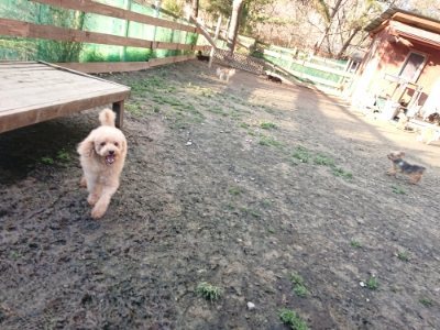 f:id:roukenhome-ann:20181224214132j:plain f:id:roukenhome-ann:20181224214132j:plain