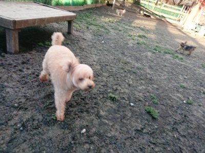 f:id:roukenhome-ann:20181224214141j:plain f:id:roukenhome-ann:20181224214141j:plain
