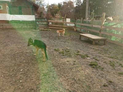 f:id:roukenhome-ann:20181224214157j:plain f:id:roukenhome-ann:20181224214157j:plain