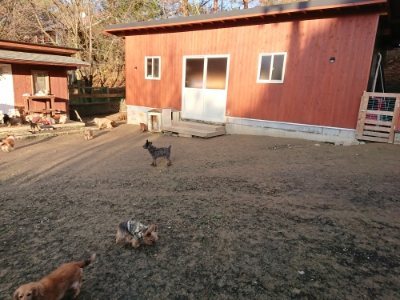 f:id:roukenhome-ann:20181224214211j:plain f:id:roukenhome-ann:20181224214211j:plain