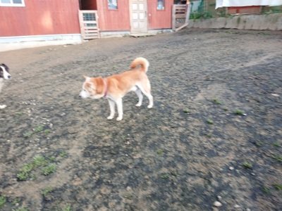 f:id:roukenhome-ann:20181224214247j:plain f:id:roukenhome-ann:20181224214247j:plain