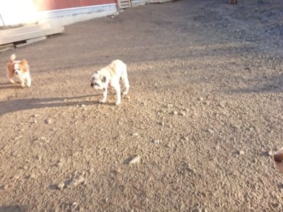 f:id:roukenhome-ann:20181225052611j:plain f:id:roukenhome-ann:20181225052611j:plain