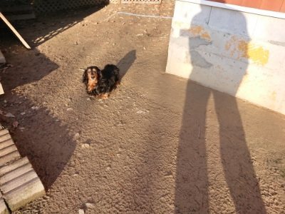 f:id:roukenhome-ann:20181225052645j:plain f:id:roukenhome-ann:20181225052645j:plain
