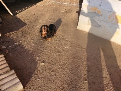 f:id:roukenhome-ann:20181225052649j:plain f:id:roukenhome-ann:20181225052649j:plain
