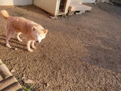 f:id:roukenhome-ann:20181225052708j:plain f:id:roukenhome-ann:20181225052708j:plain