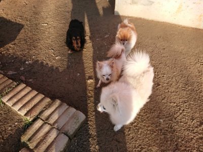 f:id:roukenhome-ann:20181225052746j:plain f:id:roukenhome-ann:20181225052746j:plain