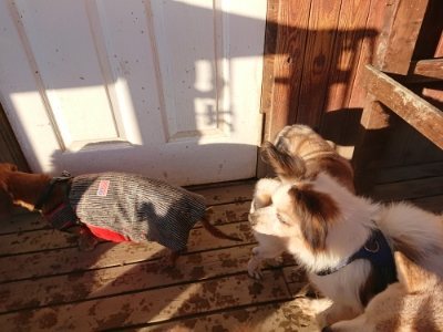 f:id:roukenhome-ann:20181225053117j:plain f:id:roukenhome-ann:20181225053117j:plain
