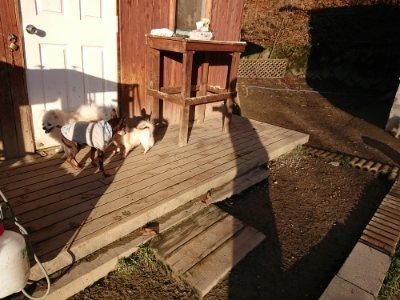 f:id:roukenhome-ann:20181225053254j:plain f:id:roukenhome-ann:20181225053254j:plain