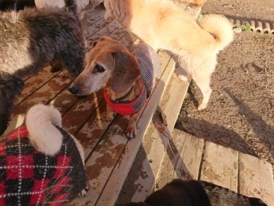 f:id:roukenhome-ann:20181225053328j:plain f:id:roukenhome-ann:20181225053328j:plain