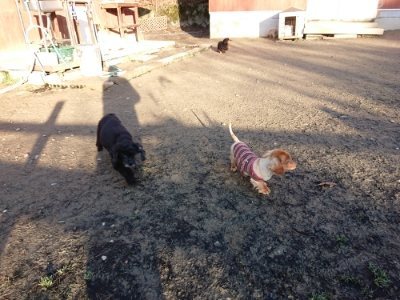 f:id:roukenhome-ann:20181225053337j:plain f:id:roukenhome-ann:20181225053337j:plain