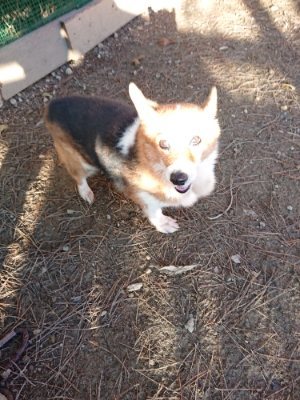f:id:roukenhome-ann:20181225070722j:plain f:id:roukenhome-ann:20181225070722j:plain