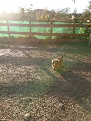 f:id:roukenhome-ann:20181225070820j:plain f:id:roukenhome-ann:20181225070820j:plain