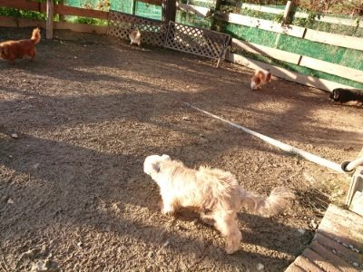 f:id:roukenhome-ann:20181225070852j:plain f:id:roukenhome-ann:20181225070852j:plain
