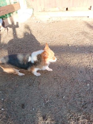 f:id:roukenhome-ann:20181225070922j:plain f:id:roukenhome-ann:20181225070922j:plain