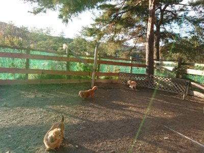 f:id:roukenhome-ann:20181225070929j:plain f:id:roukenhome-ann:20181225070929j:plain