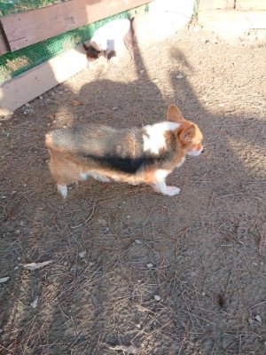 f:id:roukenhome-ann:20181225070957j:plain f:id:roukenhome-ann:20181225070957j:plain