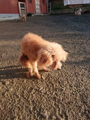 f:id:roukenhome-ann:20181225071016j:plain f:id:roukenhome-ann:20181225071016j:plain