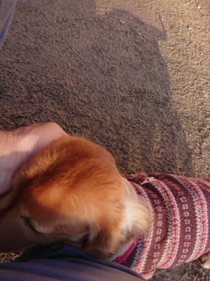 f:id:roukenhome-ann:20181225071336j:plain f:id:roukenhome-ann:20181225071336j:plain