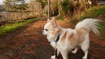 f:id:roukenhome-ann:20181225071351j:plain f:id:roukenhome-ann:20181225071351j:plain