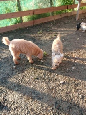 f:id:roukenhome-ann:20181225071440j:plain f:id:roukenhome-ann:20181225071440j:plain