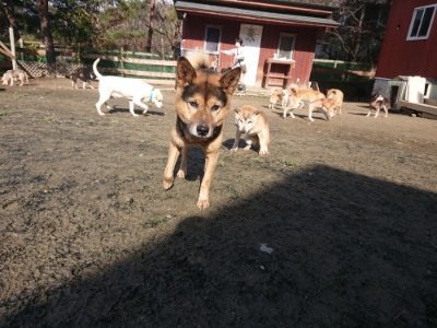 f:id:roukenhome-ann:20181226053434j:plain