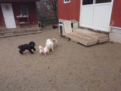 f:id:roukenhome-ann:20181226053445j:plain