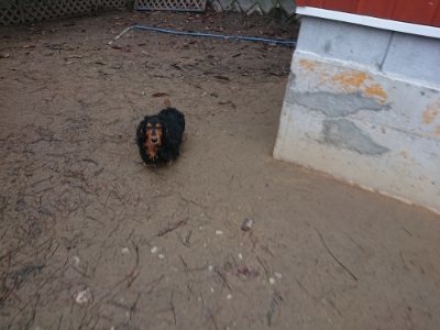 f:id:roukenhome-ann:20181226053536j:plain