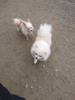 f:id:roukenhome-ann:20181226053550j:plain