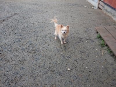 f:id:roukenhome-ann:20181226074754j:plain
