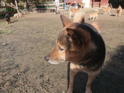 f:id:roukenhome-ann:20181226074816j:plain