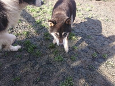 f:id:roukenhome-ann:20181226074939j:plain
