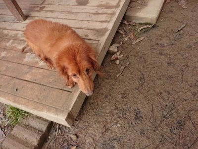 f:id:roukenhome-ann:20181226080529j:plain
