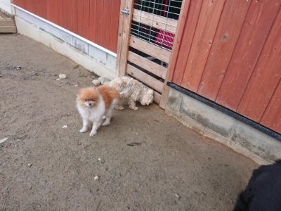f:id:roukenhome-ann:20181226081019j:plain
