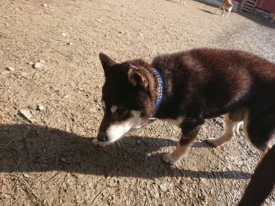 f:id:roukenhome-ann:20181226081100j:plain