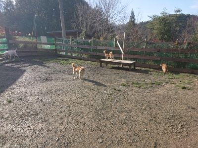 f:id:roukenhome-ann:20181226081235j:plain