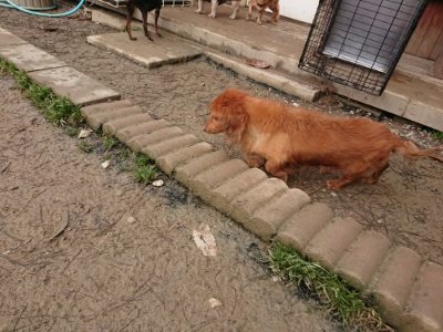 f:id:roukenhome-ann:20181226081340j:plain
