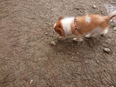 f:id:roukenhome-ann:20181226081345j:plain