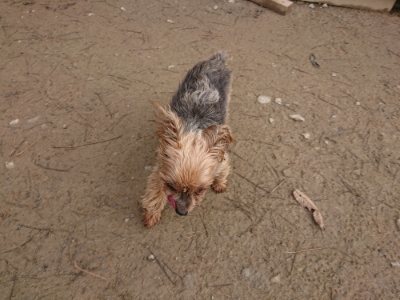 f:id:roukenhome-ann:20181226081540j:plain