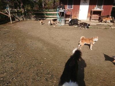 f:id:roukenhome-ann:20181226081653j:plain