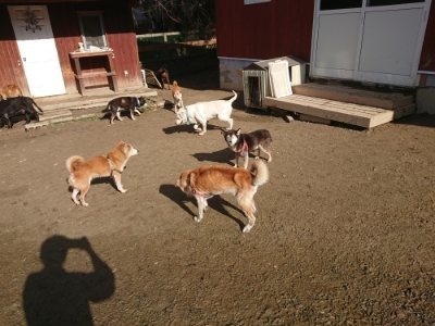 f:id:roukenhome-ann:20181226081658j:plain