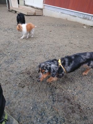 f:id:roukenhome-ann:20181226081752j:plain