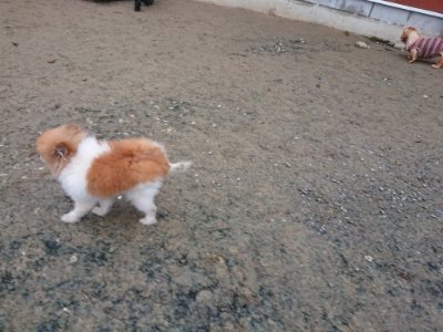 f:id:roukenhome-ann:20181226081757j:plain