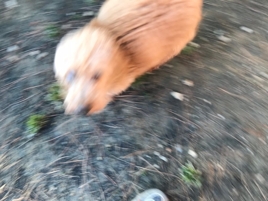 f:id:roukenhome-ann:20181228200958j:plain