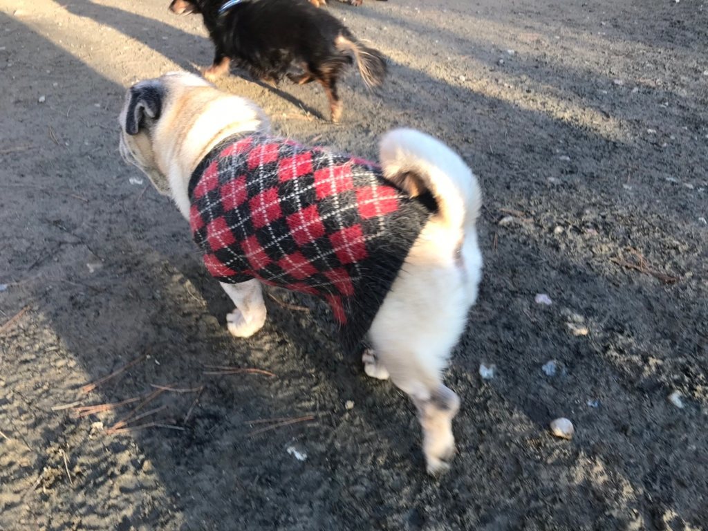 f:id:roukenhome-ann:20181228201029j:plain