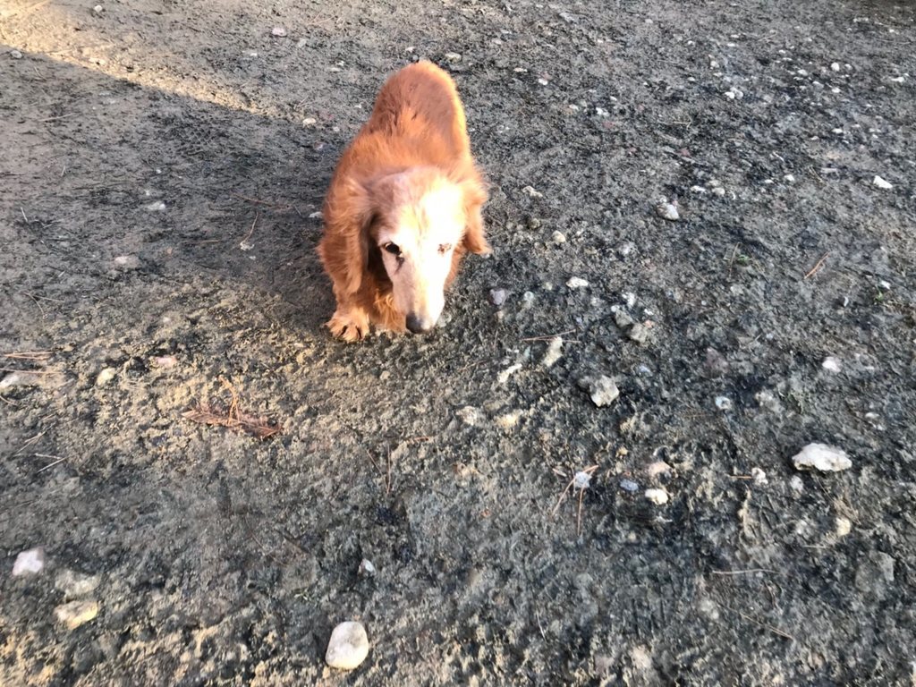 f:id:roukenhome-ann:20181228201120j:plain