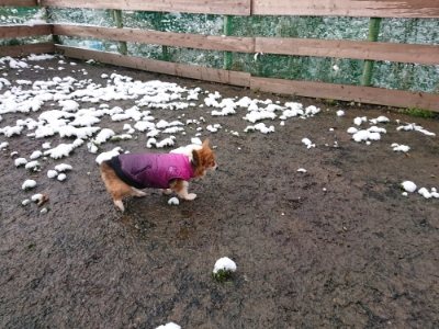 f:id:roukenhome-ann:20181229052757j:plain